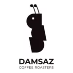 damsaz